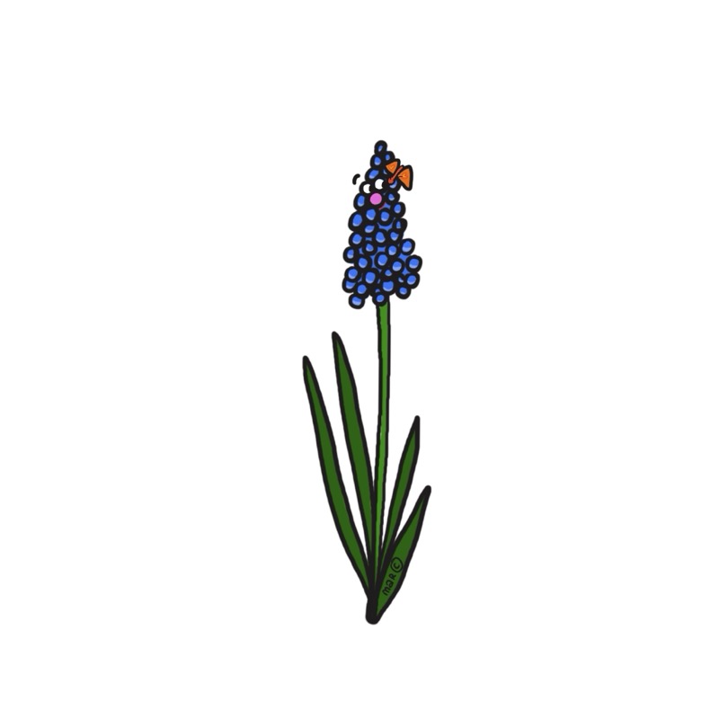 Handgetekende bloemenillustratie door Marretjes